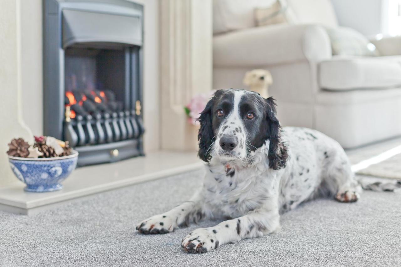 Kents Bank Holiday - Pet Friendly With Bay Views Grange-over-Sands Kültér fotó