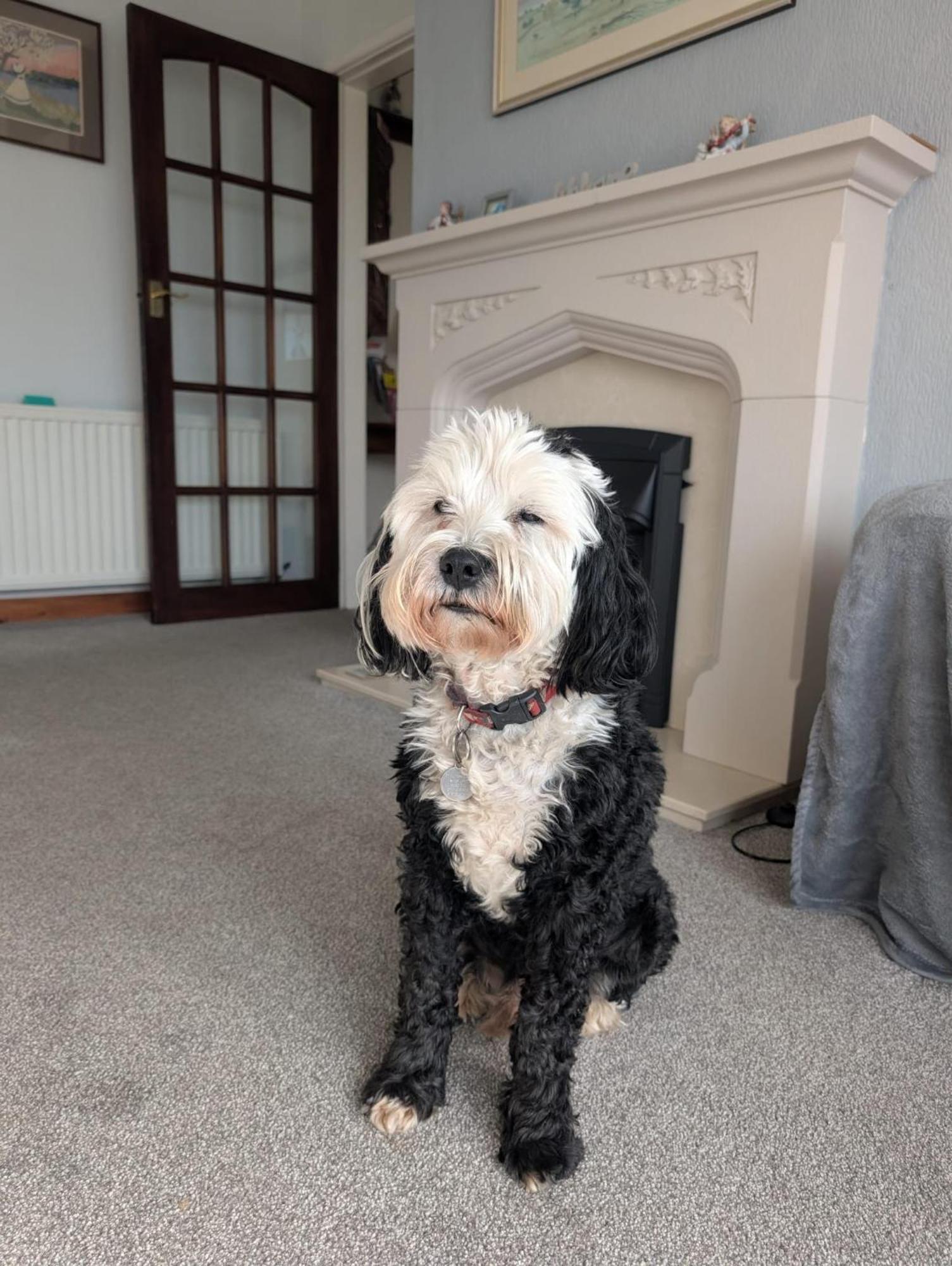 Kents Bank Holiday - Pet Friendly With Bay Views Grange-over-Sands Kültér fotó